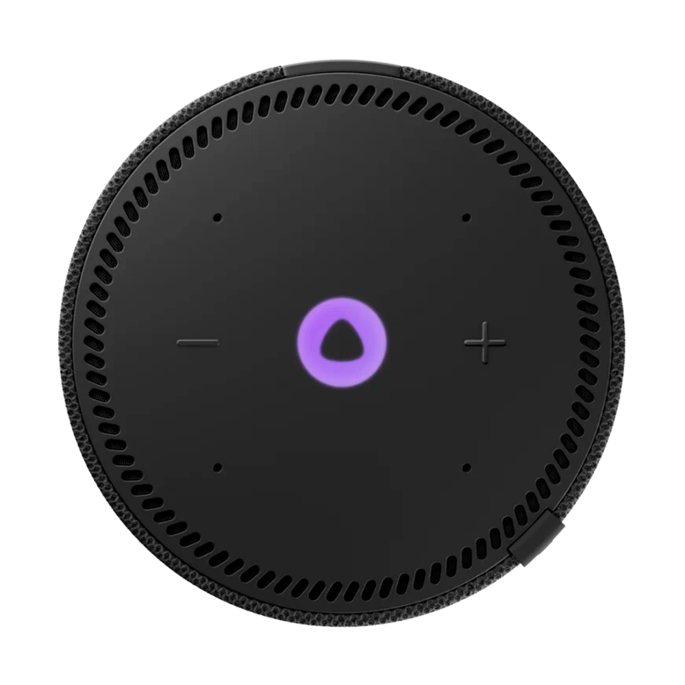 Умная колонка Яндекс Станция Мини (с часами), Черный оникс