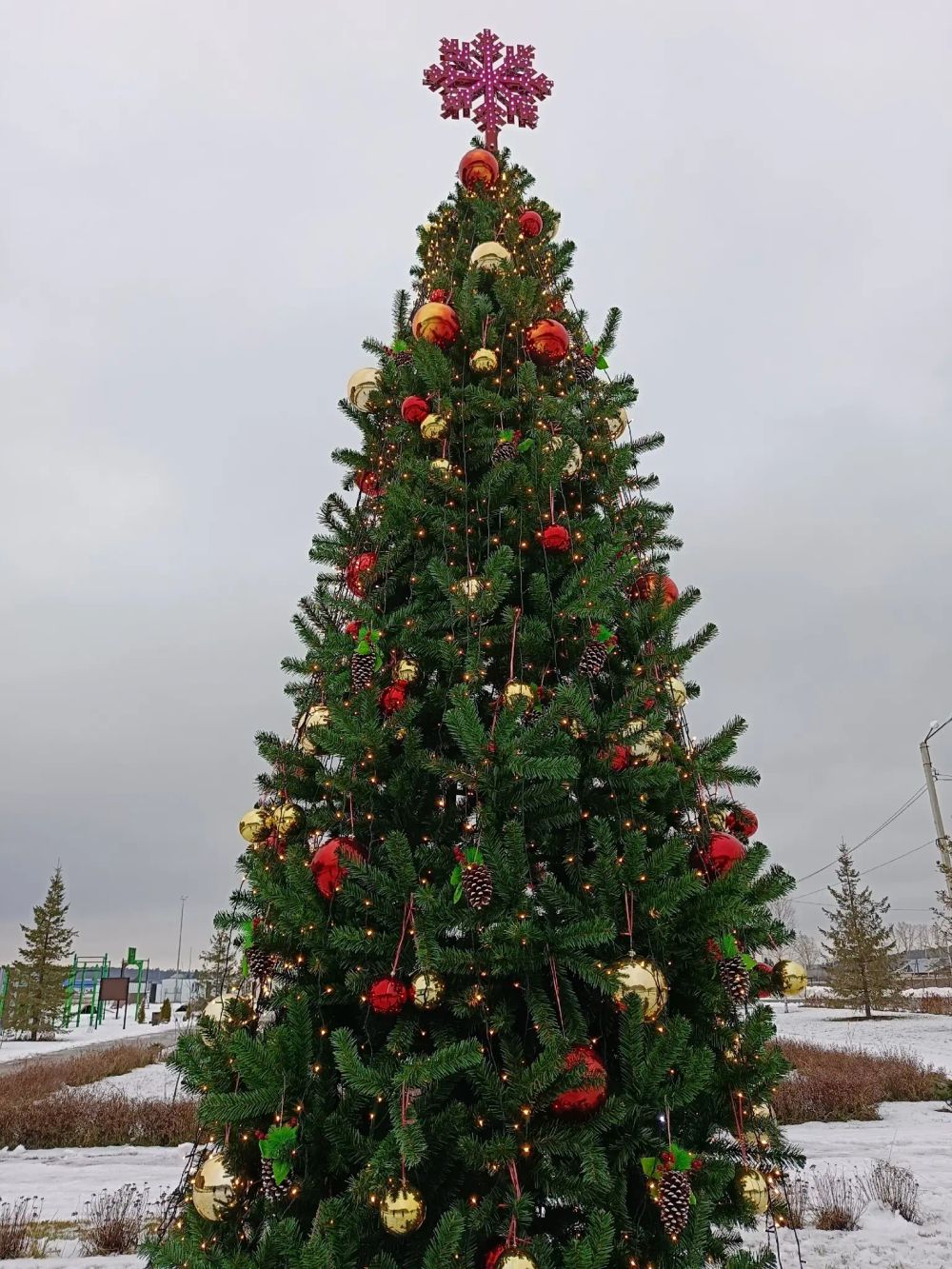 уличная ель, хвоя-пленка пвх