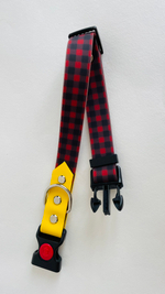 Ошейник для собак из биотана , 25 мм , 35-55 см . Клетка и салатовый