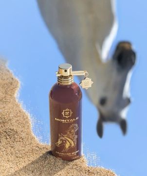 Montale Arabians Musk