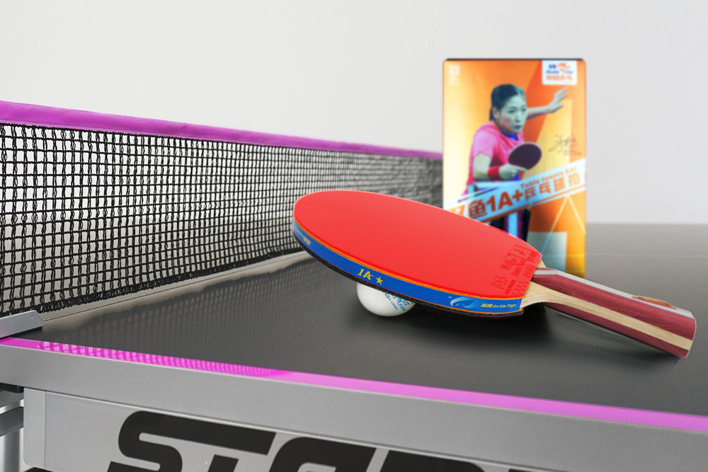 Ракетка для н/т Double Fish (1A+C серия)