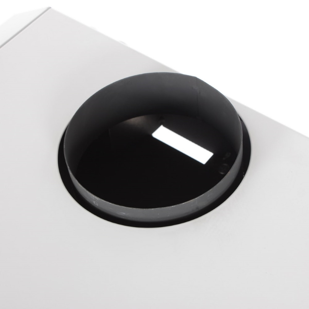 Котел газовый Лемакс Wester Clever 30