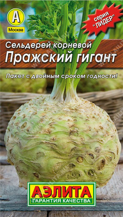Сельдерей корневой Пражский гигант