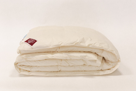 Одеяло пуховое 240х260 German Grass Organic Down Grass