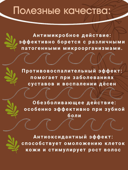 Гвоздика целая натуральная Приправыч целая, натуральная, 10 гр. 4 шт.