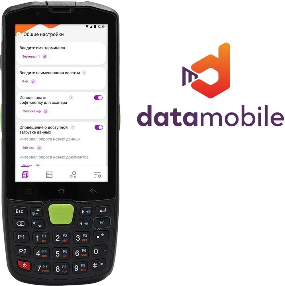ПО  DataMobile DMOnline