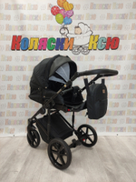 Коляска модульная Adamex Amelia AM238