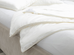 Одеяло шелковое всесезонное 200х220 Luxe Dream Luxury Silk