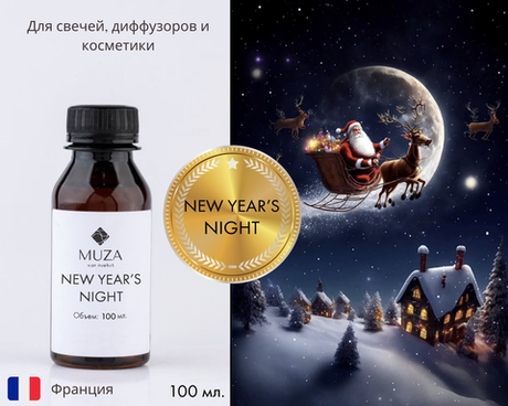 New Year's night (Новогодняя ночь)