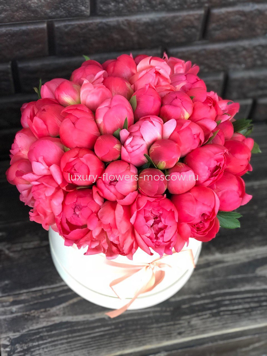 51 Коралловый пион в шляпной коробке