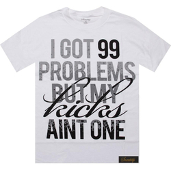 Футболка Sneaktip 99 Problems Splash белая с серым спереди