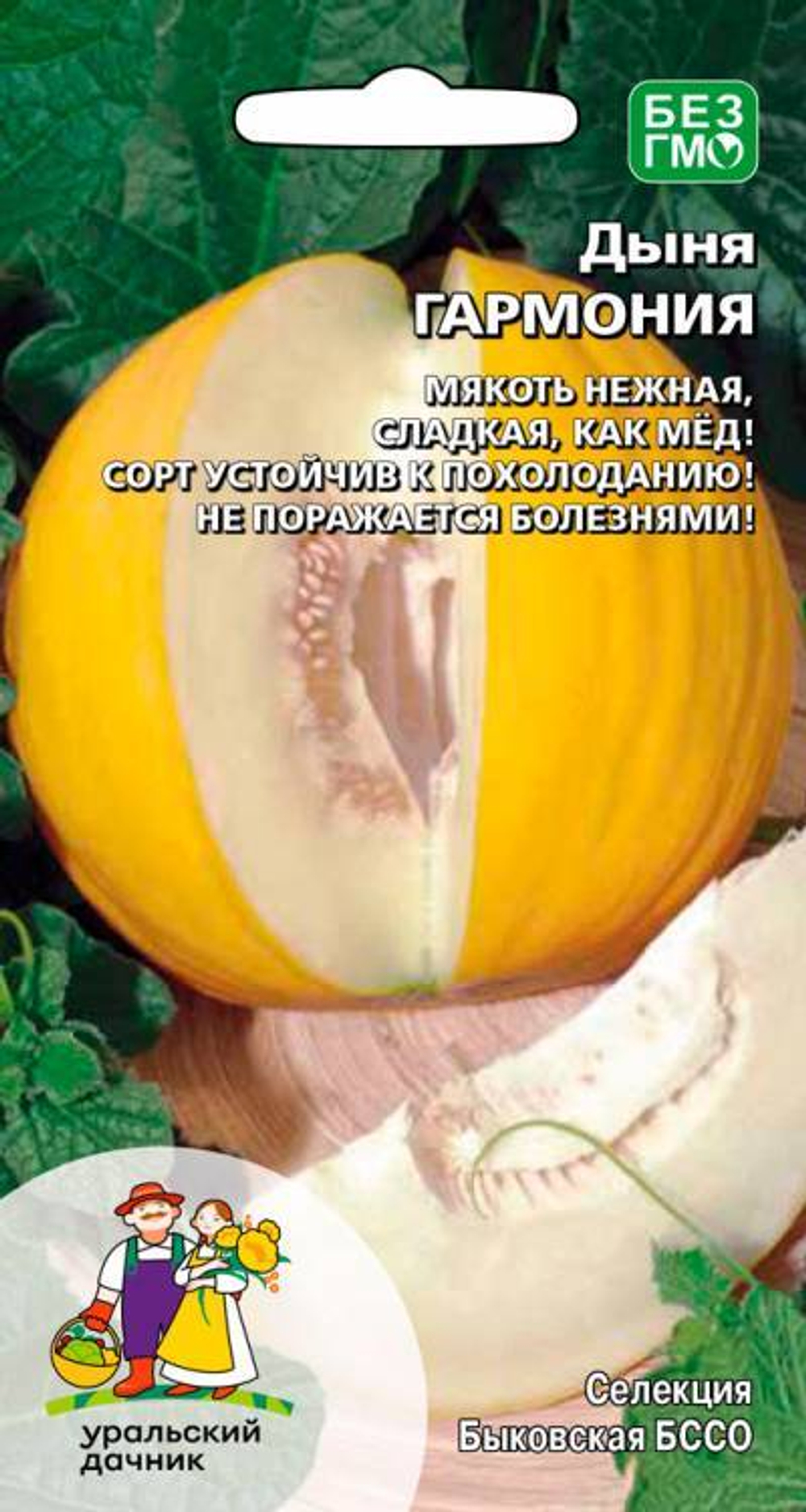 дыня Гармония