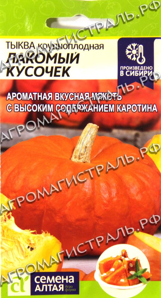 Тыква Лакомый кусочек Семена Алтая Ц