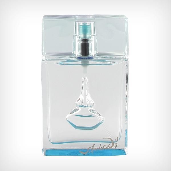 Salvador Dali Sea and Sun In Cadaques