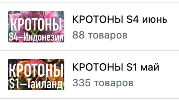 Кротоны Таиланд и Индонезия