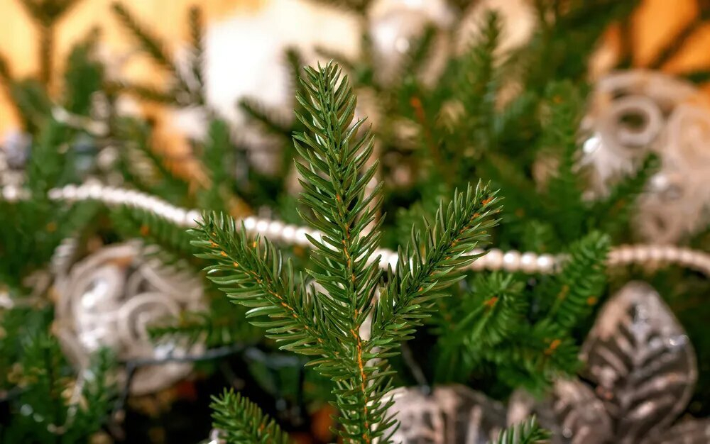 Ель искусственная Царь елка Адель 180 см АДЛ-180