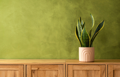 Декоративное покрытие c эффектом замши SHAMMY (Шамми) FARBITEX PROFI