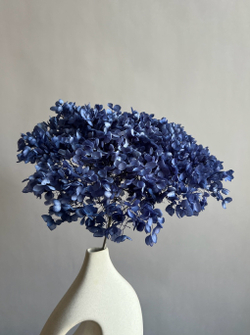 Гортензия стабилизированная сиренево—синяя