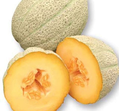 Гордес F1 семена дыни (Sakata / Саката)