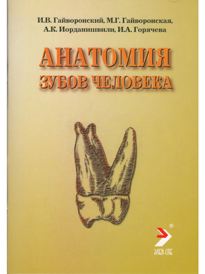 Анатомия зубов человека, 6-е издание, исправленное и дополненное