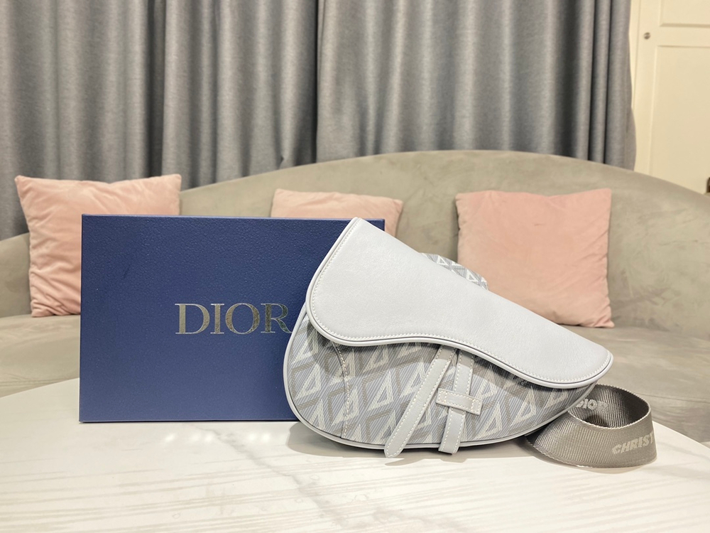 Christian Dior Saddle 26 cm