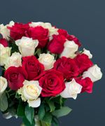 Розы 51 шт