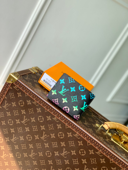 Louis Vuitton Multiple Wallet