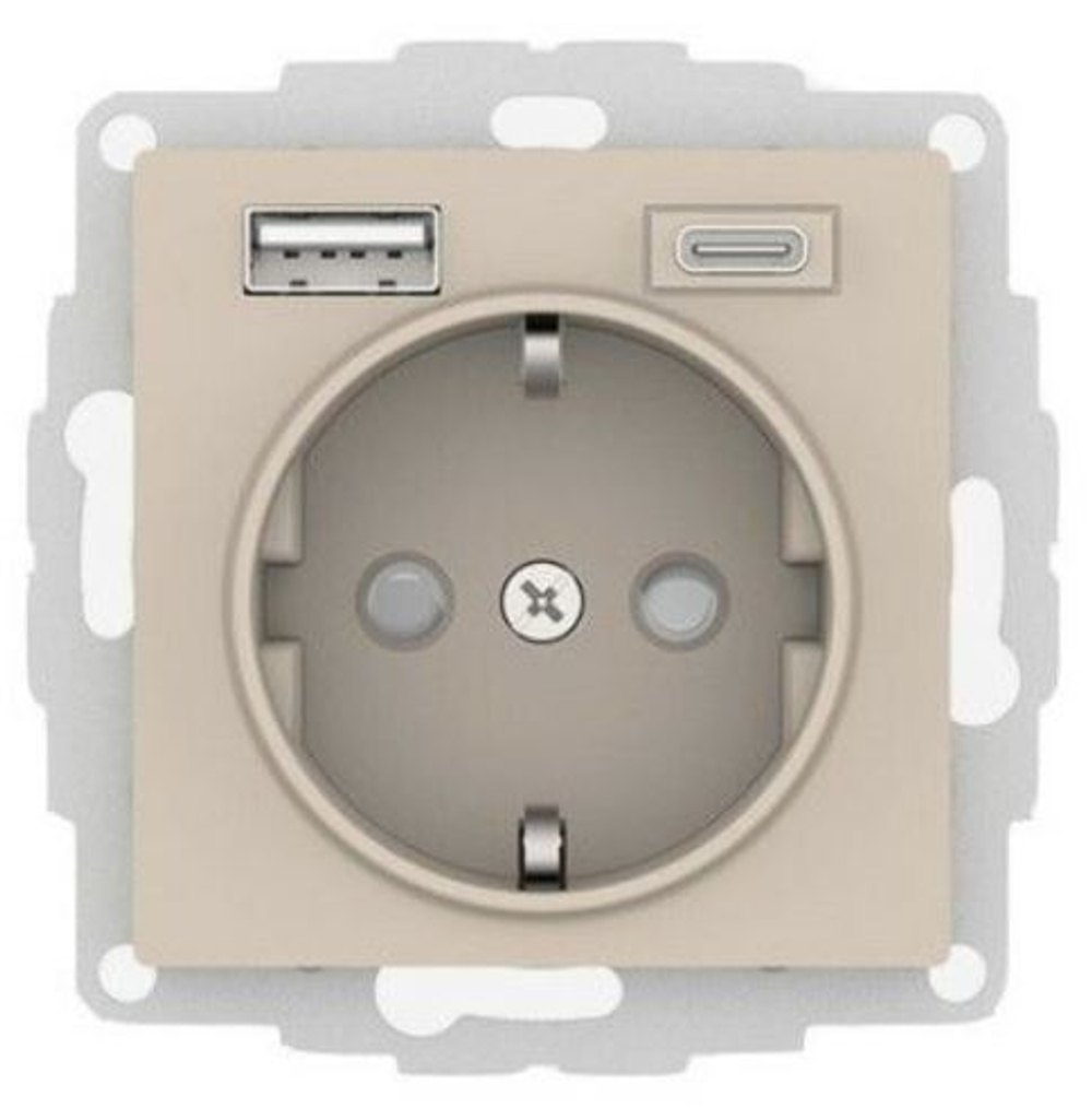 Розетка с заземлением с 2 USB  Systeme Electric ATN001232