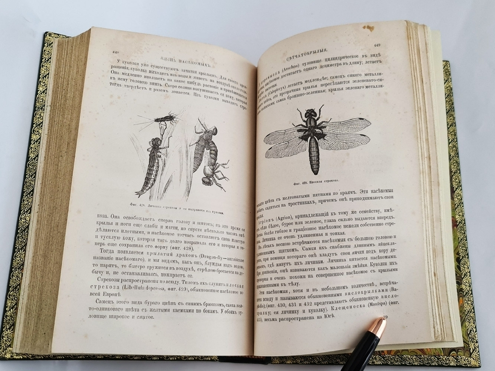 "Жизнь насекомых". Луи Фигье. 1869г. - антикварное издание