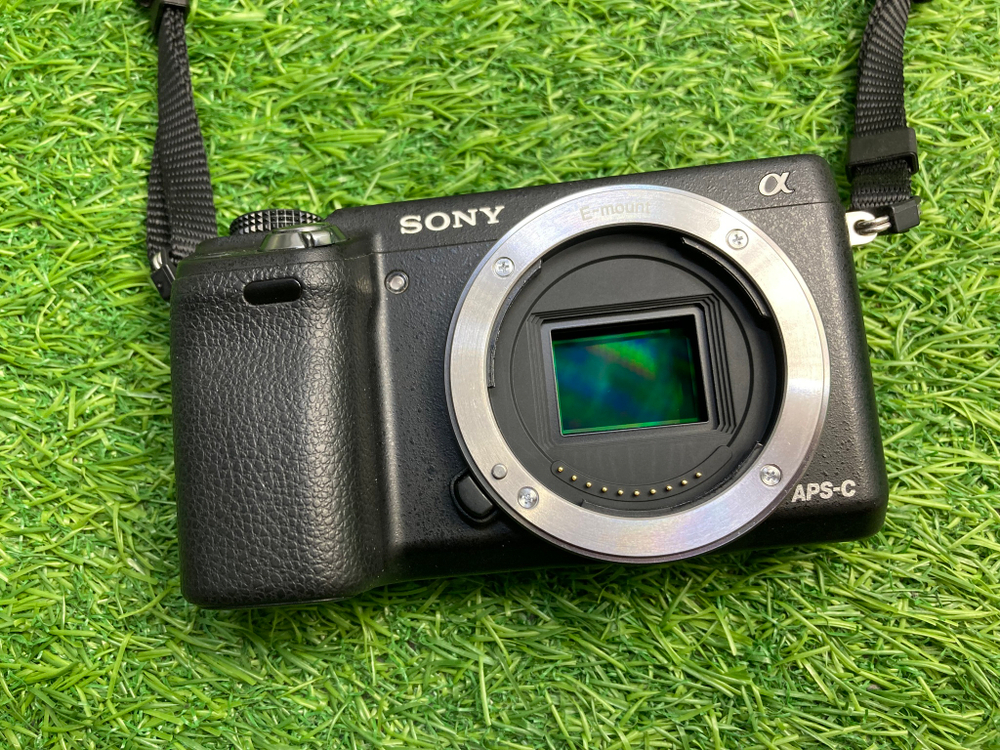 Sony NEX-6 (1.350 кадров)