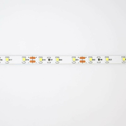 Лента светодиодная GLS-2835-60-4.8-12-IP20-6500к (5м)