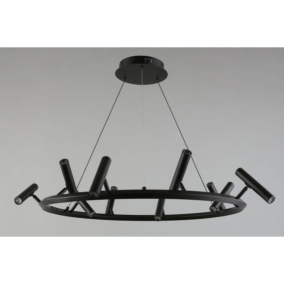 Подвесная светодиодная люстра Aployt Honor APL.067.03.50