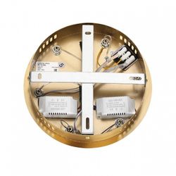 Подвесная люстра Lumion TWINKLE 8010/50L