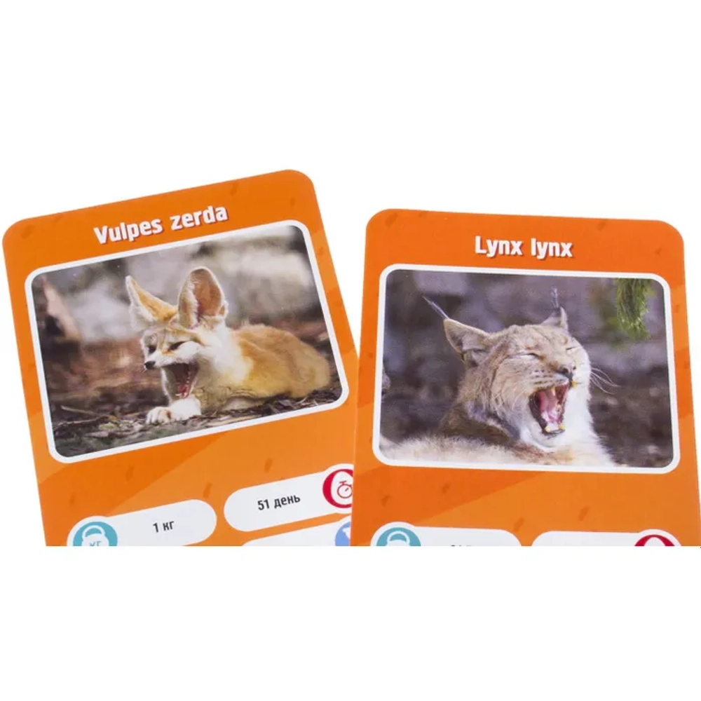 Настольная карточная игра Это факт! ЗООПАРК