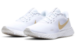 Кроссовки Nike Revolution 5 (Женская размерная сетка)