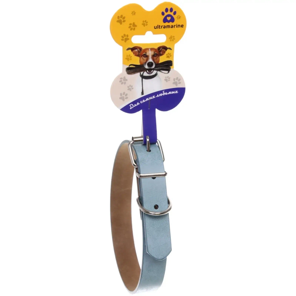 Ошейник искусственная кожа «Друг» 2*48см цвет голубой Ультрамарин