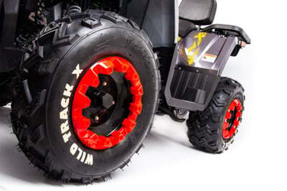 Квадроцикл MOTOLAND 200 WILD TRACK X PRO (2022)
