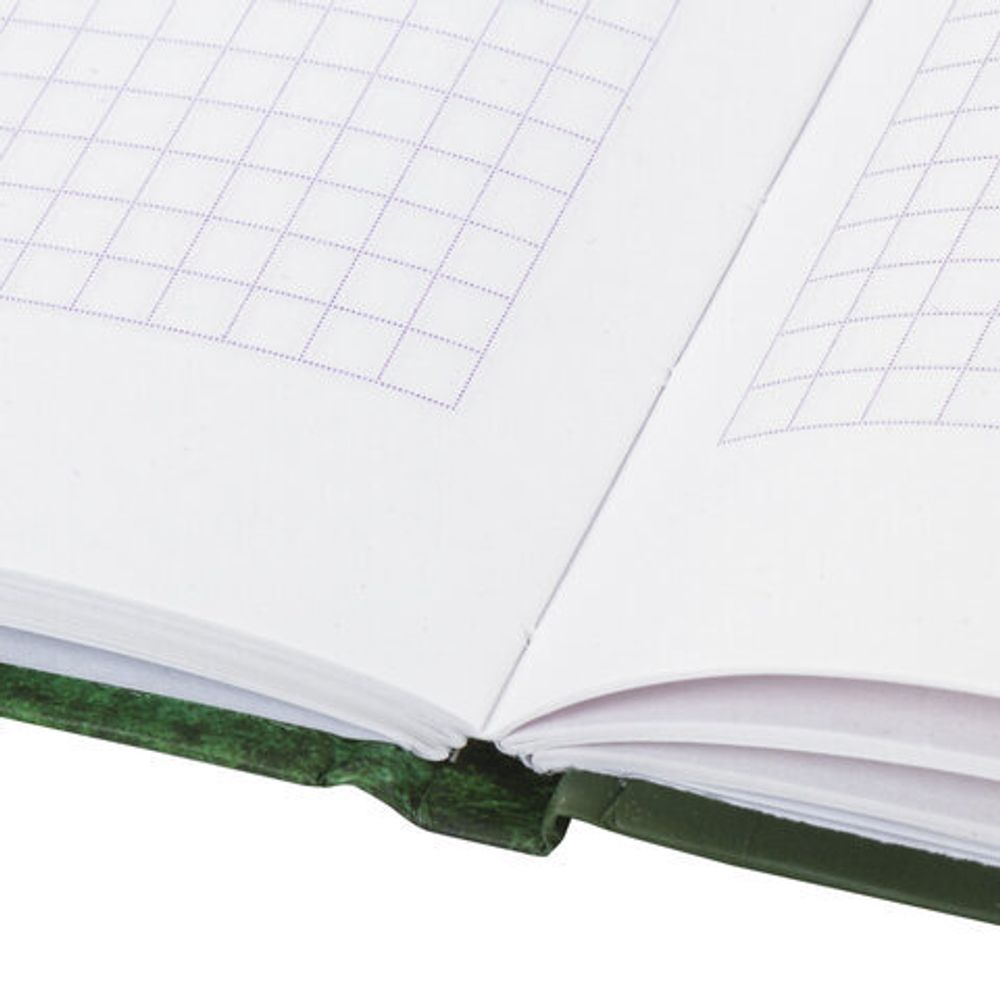 Блокнот (135х206 мм), 80 л., твердый, клетка, выборочный лак, ЮНЛАНДИЯ, "Футбол", 111615