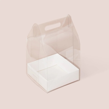 Переноска пластиковая 180*180*240 мм с коробкой