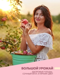 Краска побелка для садовых деревьев и кустарников 1,2 кг FARBITEX, с антибактериальными добавками для защиты коры от болезней и паразитов