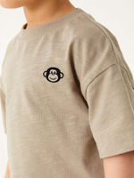 Футболка и легинсы в комплекте для мальчика Next D14-284, Бежевый, Темно-серый