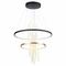 Подвесной светодиодный светильник Odeon Light L-vision Monica 3901/63L