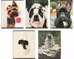 Dəftər Academy Dogs dama 48 vərəq А5 10121/5