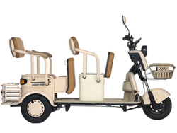 Электротрицикл Gelbert Atlas (600Вт, 48/60B)