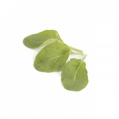 СПАРКЛ семена рукколы (Rijk Zwaan | Alexagro)