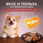 Влажный корм Мнямс Деликатес Паштет из телятины с тыквой для щенков всех пород "Асадо по-аргентински" 200 г
