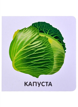 Овощи. Моя самая первая книжка