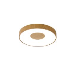 7568 Потолочный светильник COIN