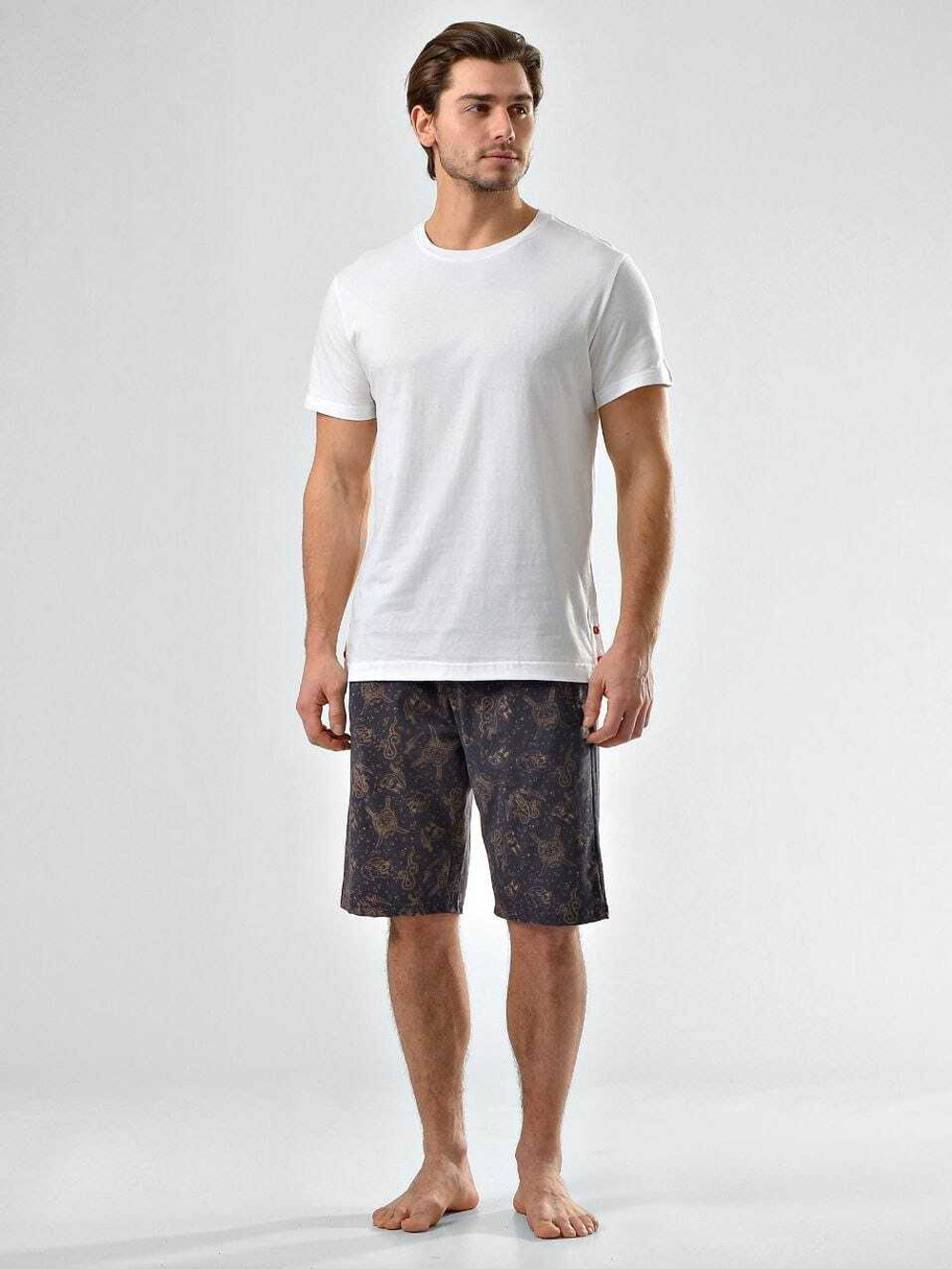 Пижама мужская шорты+футболка 88178