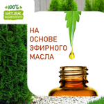 Туя, отдушка для свечей и мыла